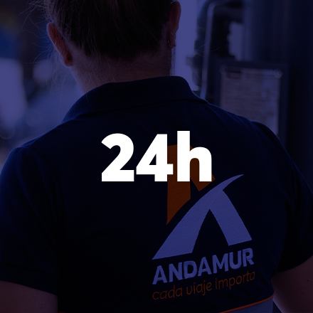 24 horas