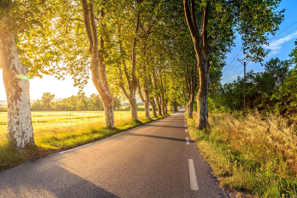 Key actions to enhance sustainability in road transport
