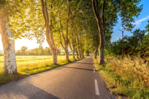 Key actions to enhance sustainability in road transport
