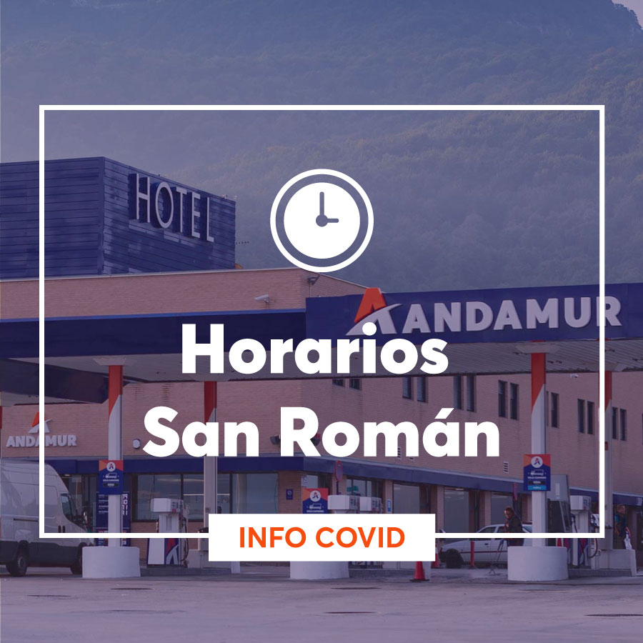 Horarios Andamur San Román