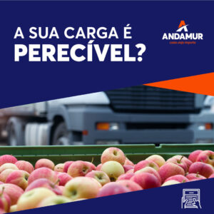 Estas são as alterações nas normas para os veículos de Transporte de Mercadorias Perecíveis