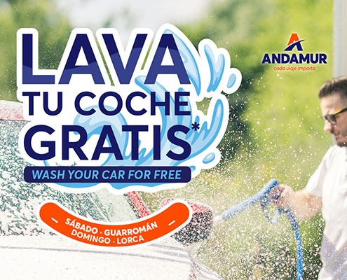 PROMOCION LAVADERO GUARROMÁN Y LORCA