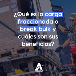 What is break bulk and what are its benefits?
