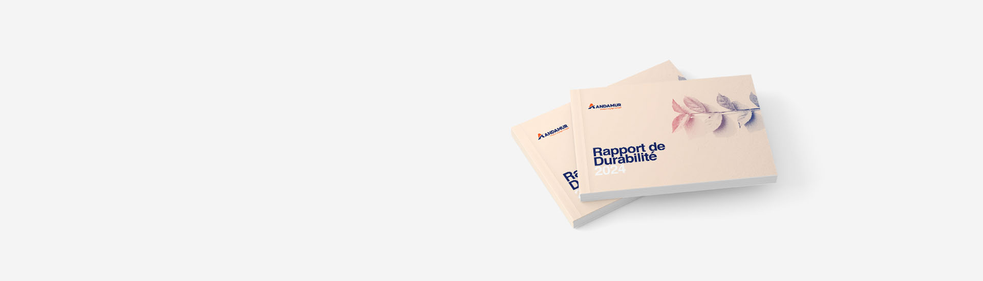 Nous vous présentons notre Rapport de Durabilité 2024