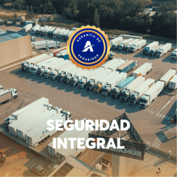Seguridad integral