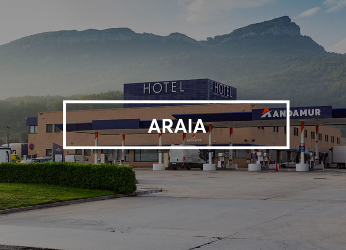 Ficha estación araia20 705x509