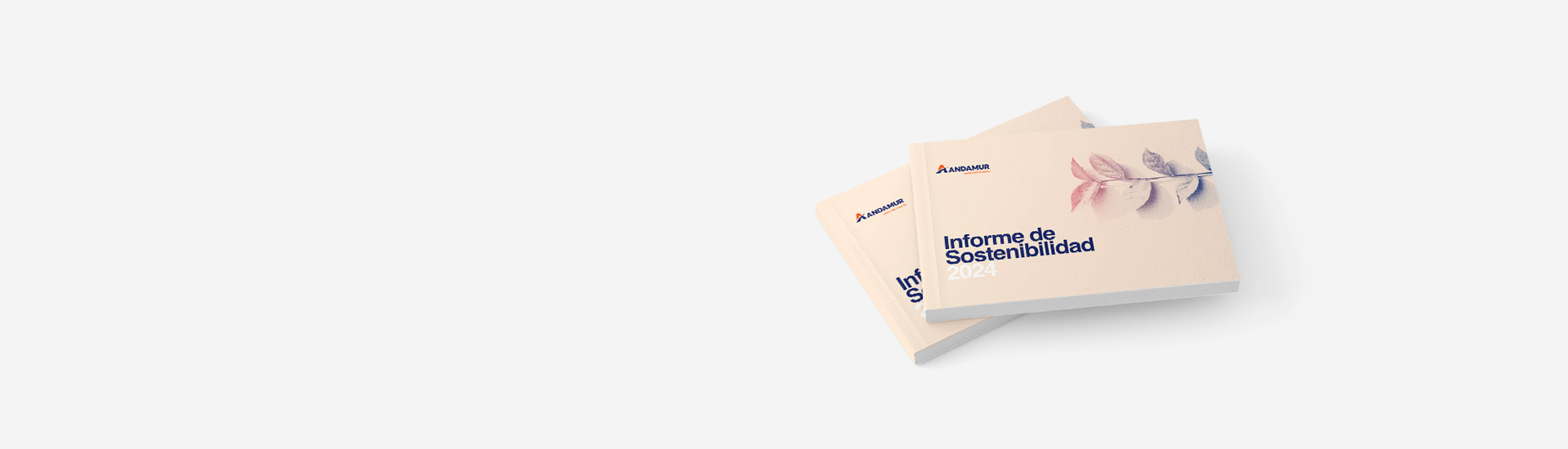 Banner web rsc 2024 1920x550