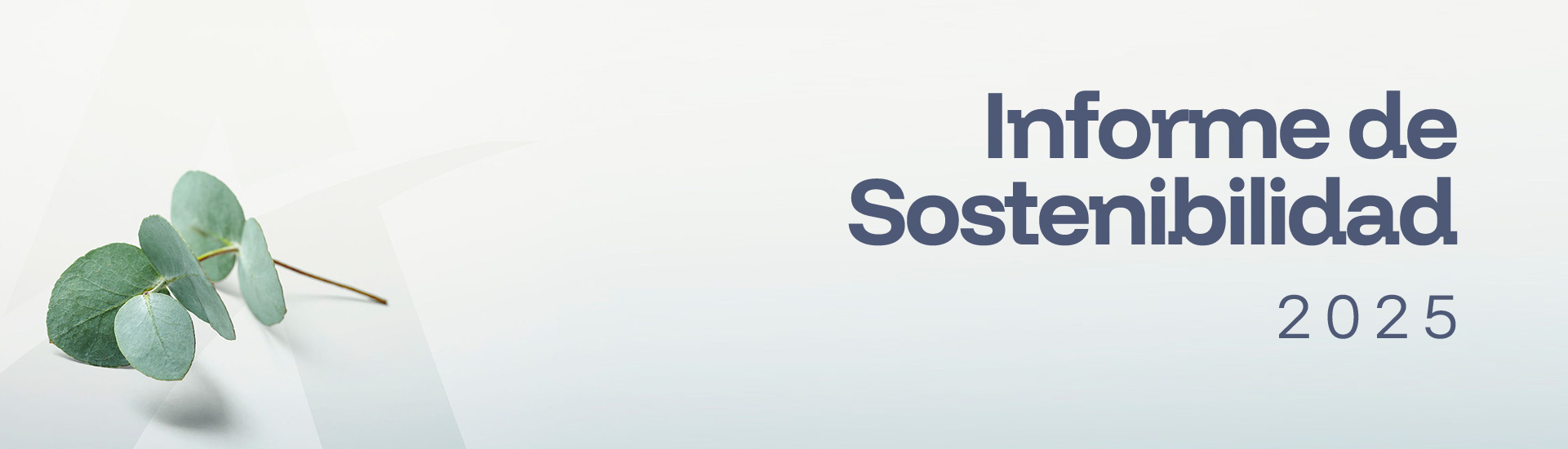 Adaptaciones rsc 2025 banner web 1920x550 es