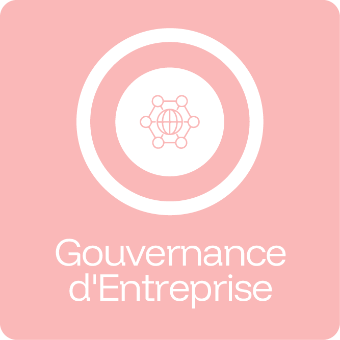Rsc eje gobierno corporativo fr 2025