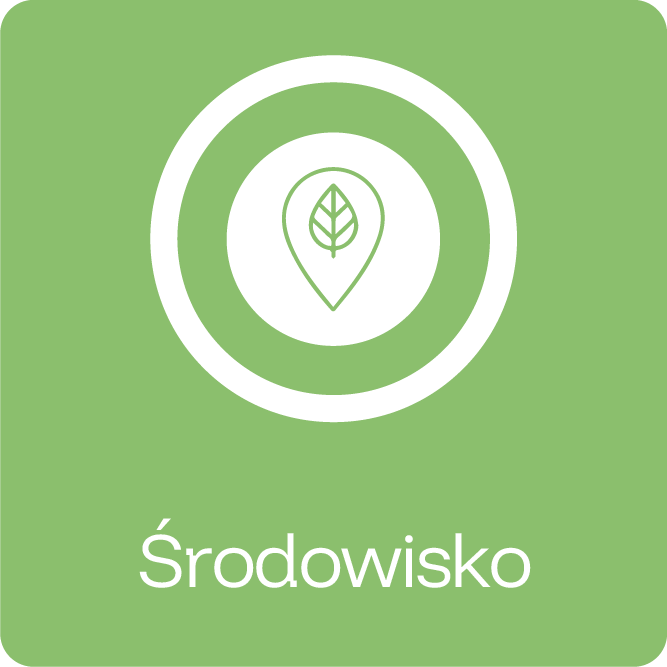 Środowisko